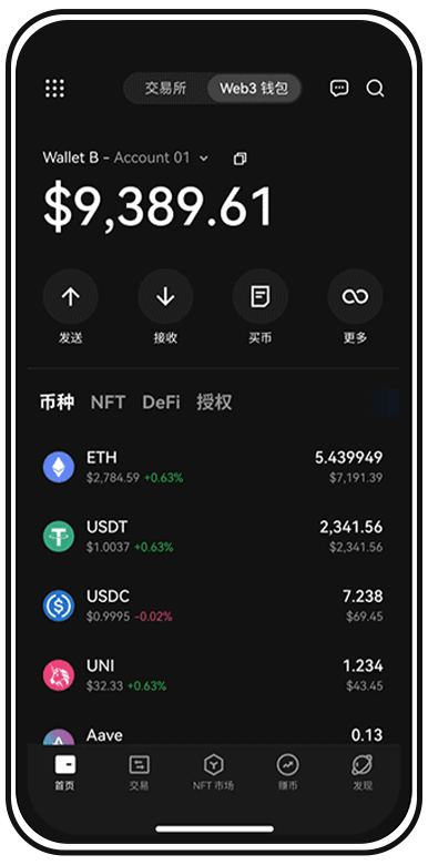 OkPAY下载安装入口页面展示